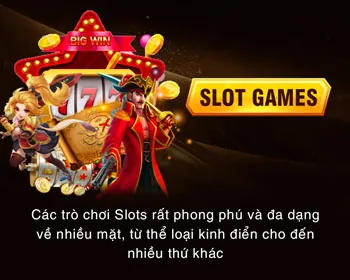 Hỗ trợ chuyên nghiệp
